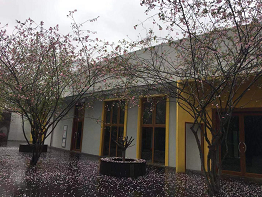 图片.png 图片.png